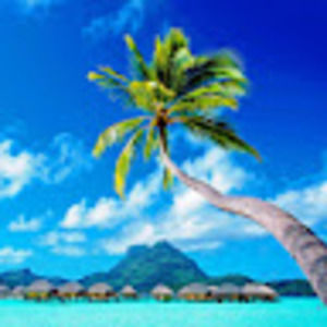 Meet your Posher, Niraj